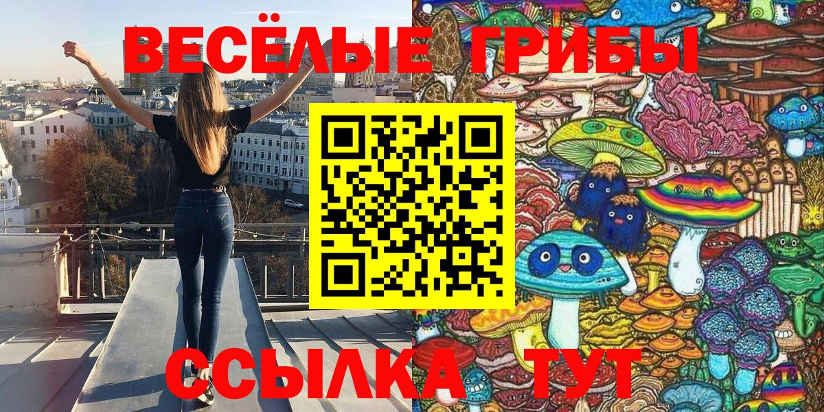 Псилоцибиновые грибы прущие грибы Гусев
